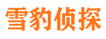 新龙市调查公司